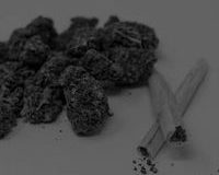 Abogado-trafico-drogas-madrid-planta-mariguana.jpg
